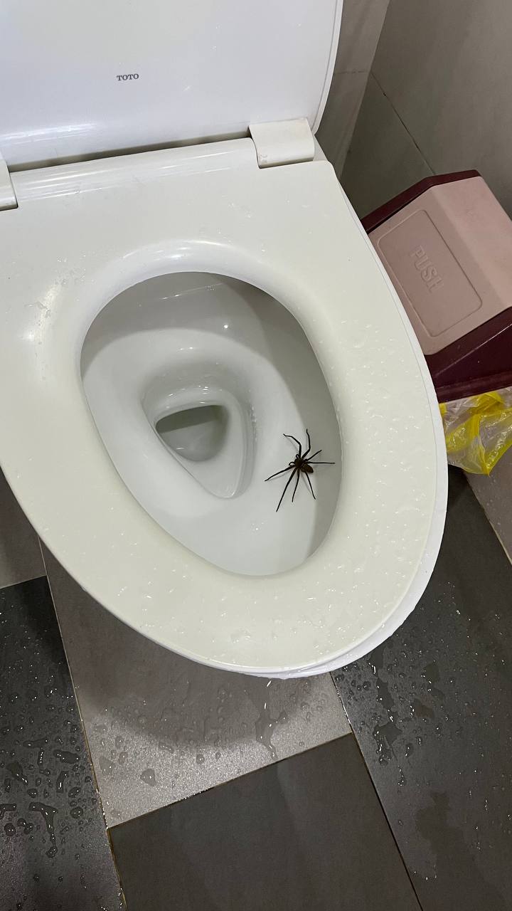 Фото Gia Vien Hotel