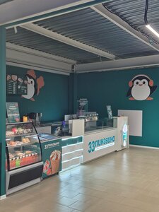 Cafe 33 Пингвина, Efremov, photo