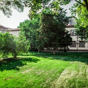 Фото Ассоль