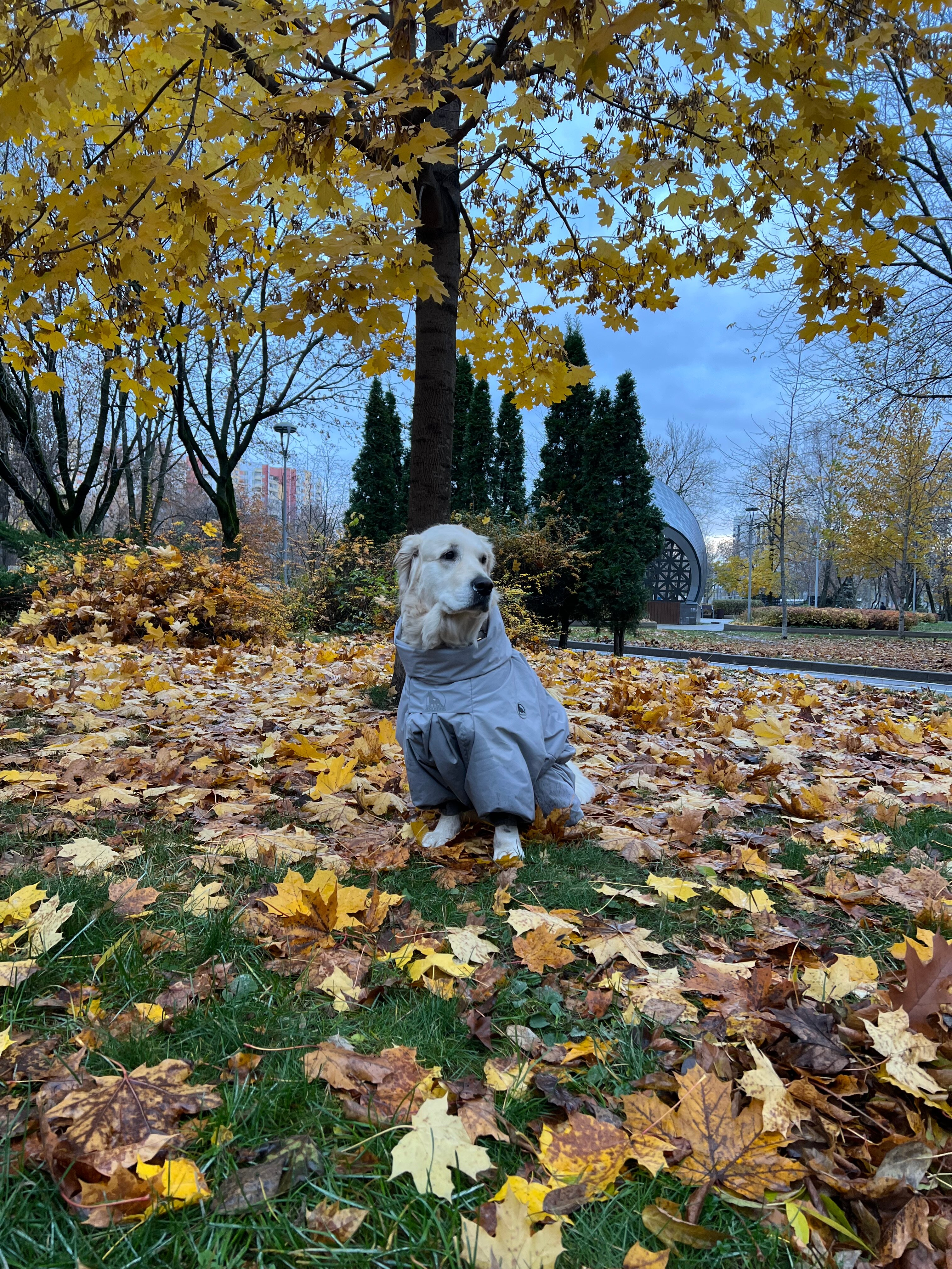 Фото Дюжина