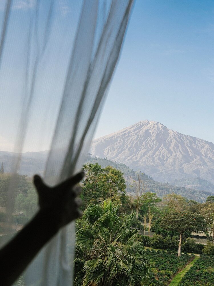 Фото Gran Melia Arusha