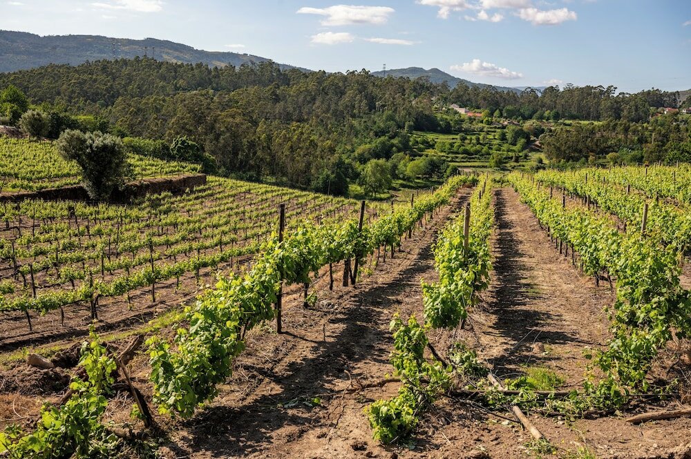 Фото Vila Gale Collection Ponte de Lima