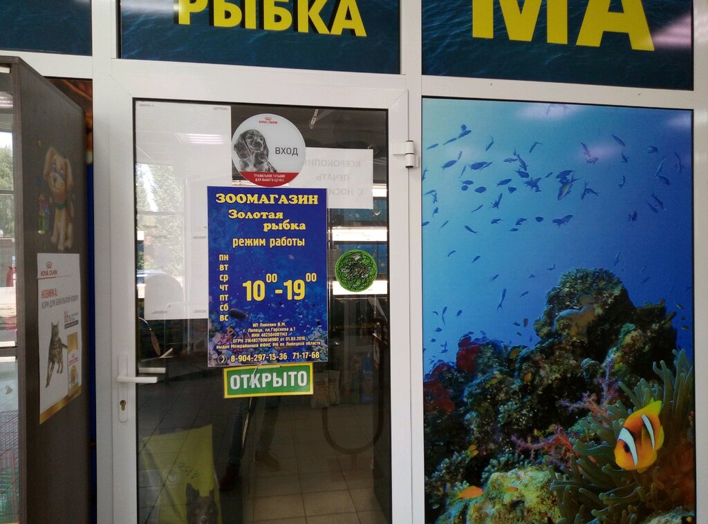 Магазин Золотая Рыбка Уфа