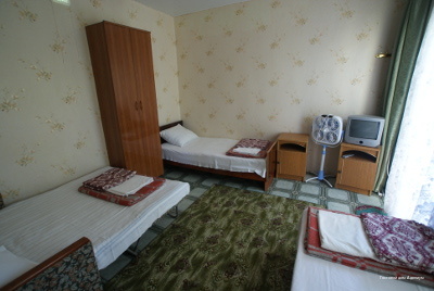 Фото Адениум