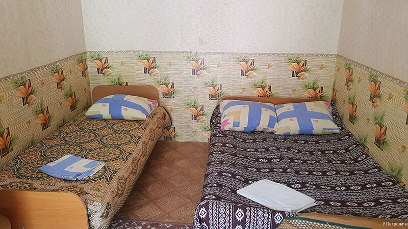 Фото У Петровича