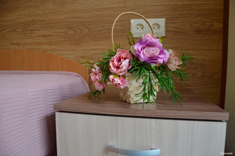 Фото Саксония