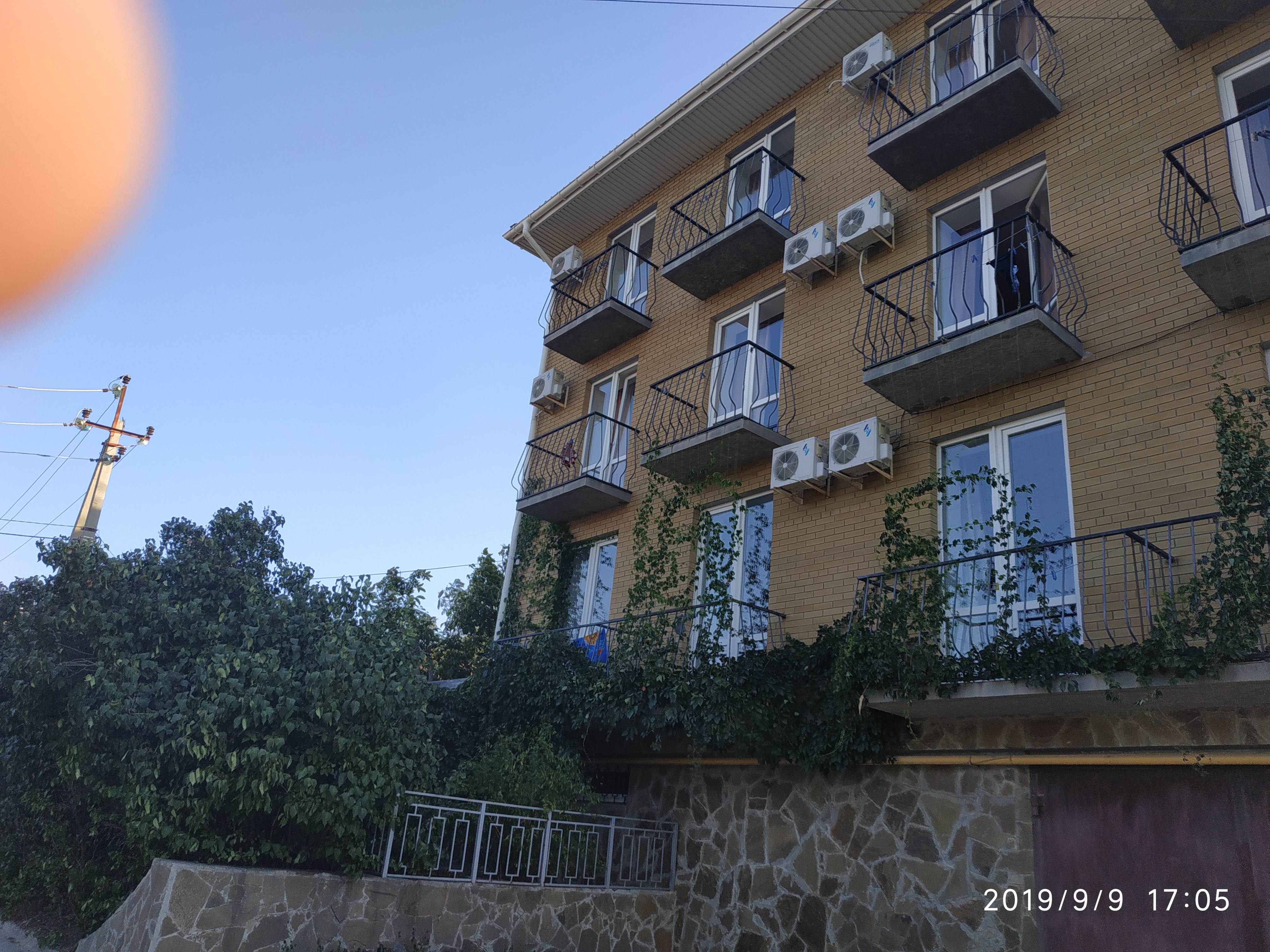 Фото Горлица