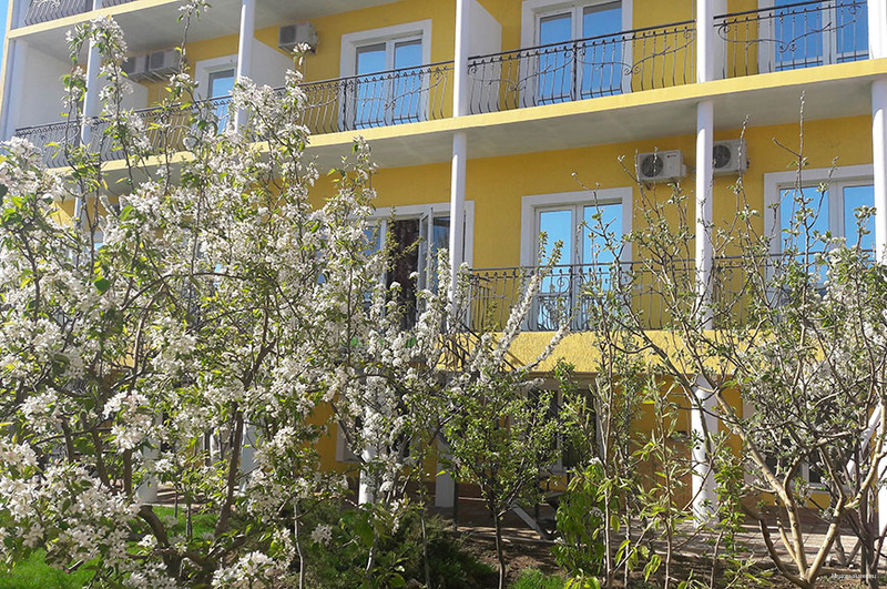 Фото Медовый месяц