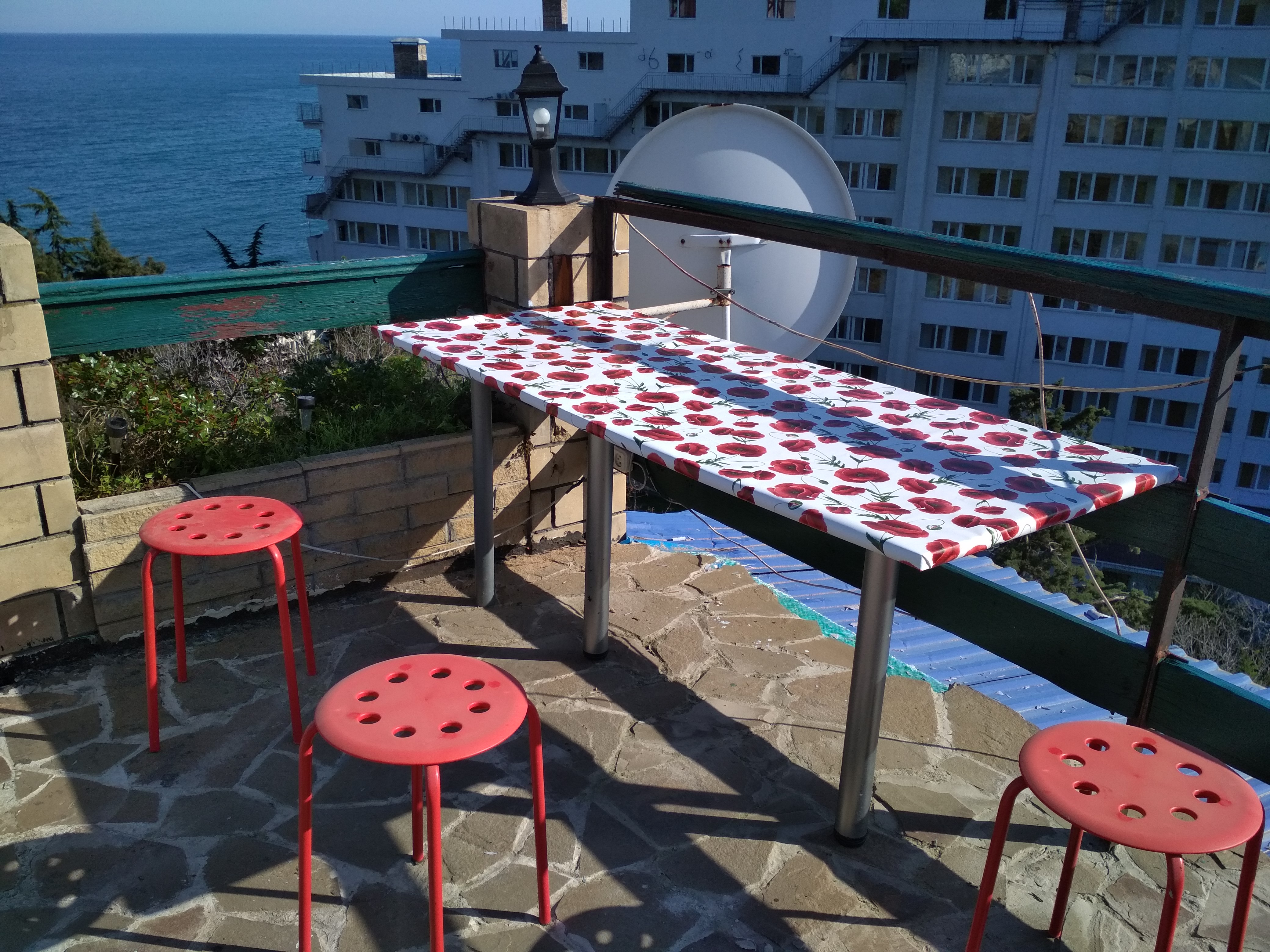 Фото Ласточка