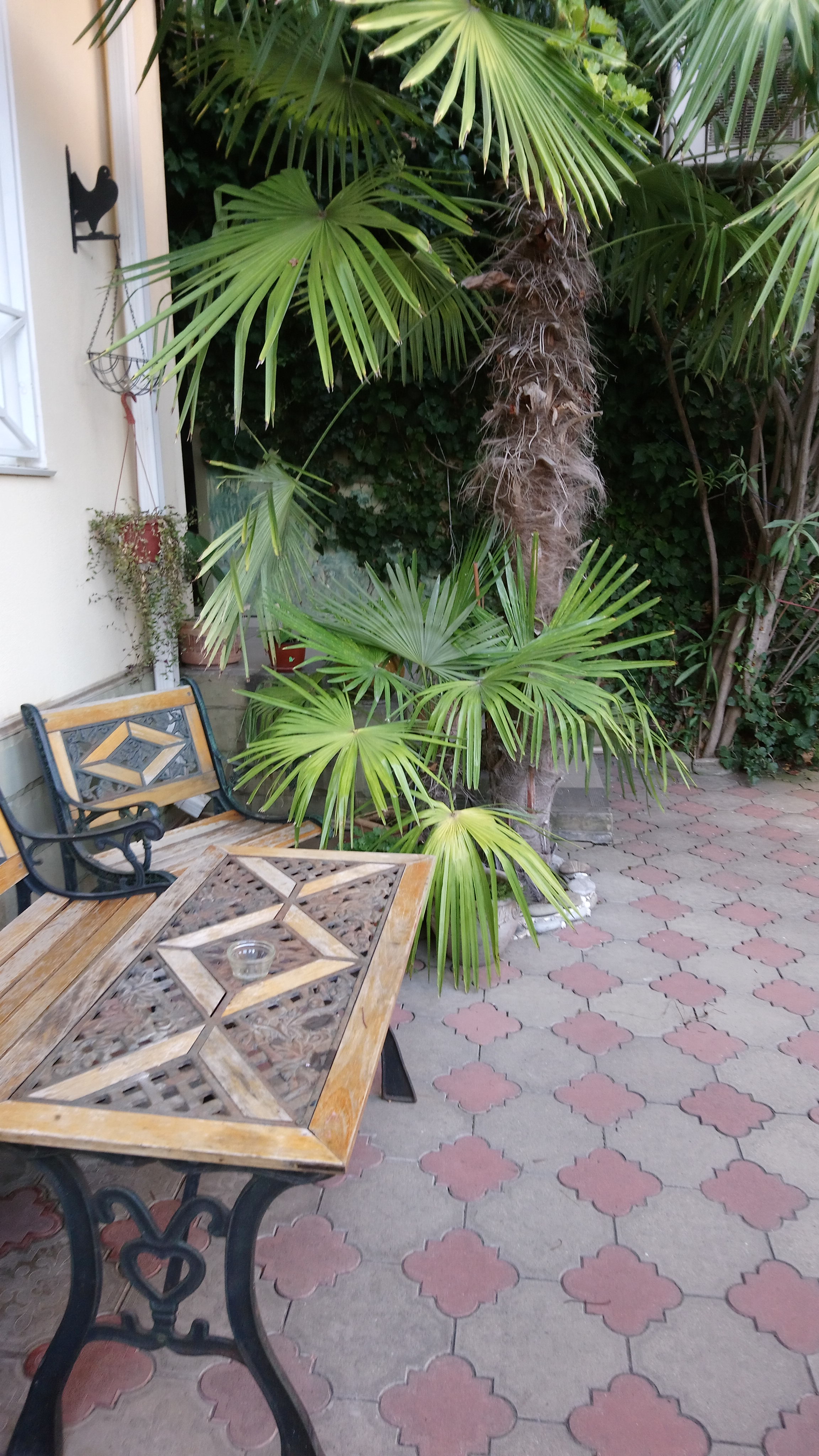 Фото Ла Манча