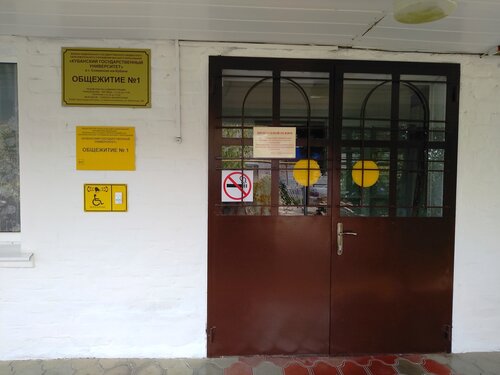 Kvartirada porno video