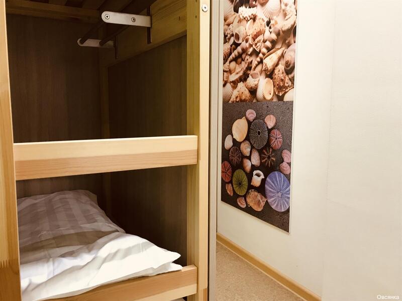 Фото Овсянка