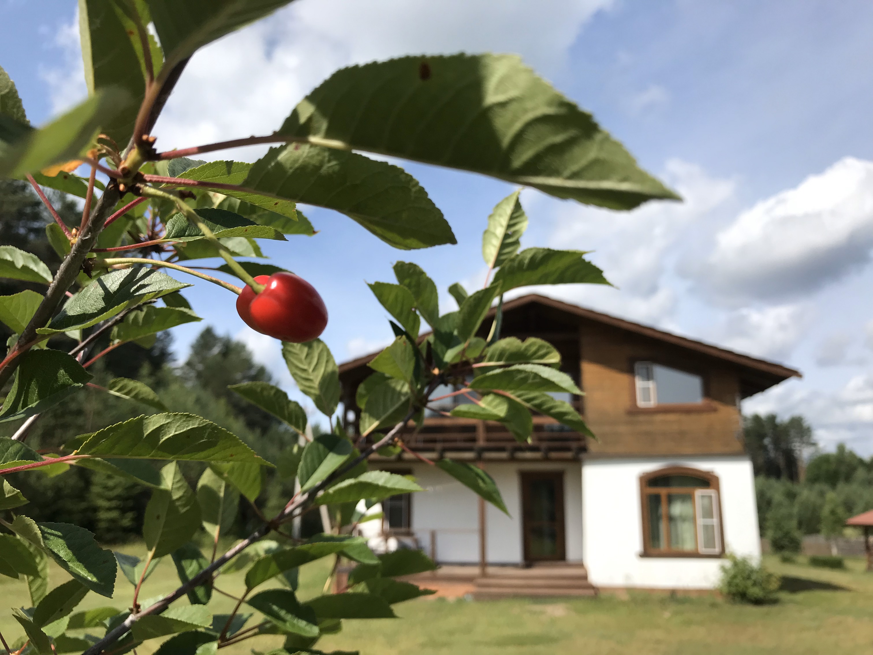 Фото Боровое