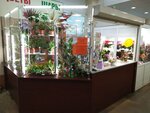 Florizelle (Leningradskiy Avenue, 311) ، محل زهور