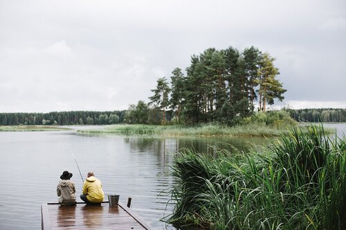 Турбаза Лес и Море