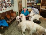 Ellips (Lenina Avenue, 89/2), clínica veterinaria