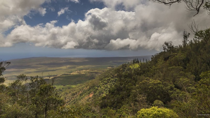 Фото Four Seasons Hotel Sydney