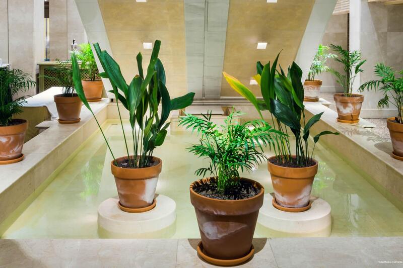 Фото Reina Petronila