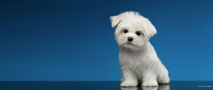 Фото A&o Dresden Hauptbahnhof