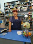 Гермес-2 (село Щучье, улица Чапаева, 6), grocery