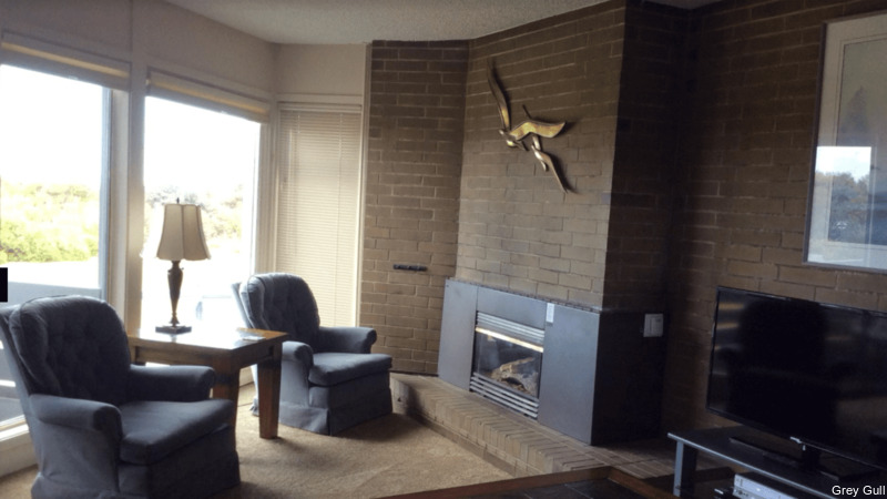 Фото The Grey Gull