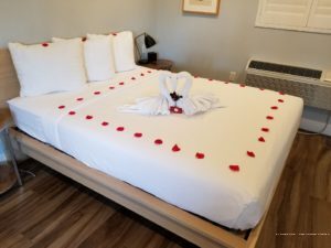 Фото El Royale Hotel