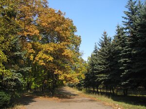 Коммунальное учреждение Городской парк культуры и отдыха имени Н.А. Вознесенского (Yenakiyeve, prospekt 50 rokiv Zhovtnia, 36), park