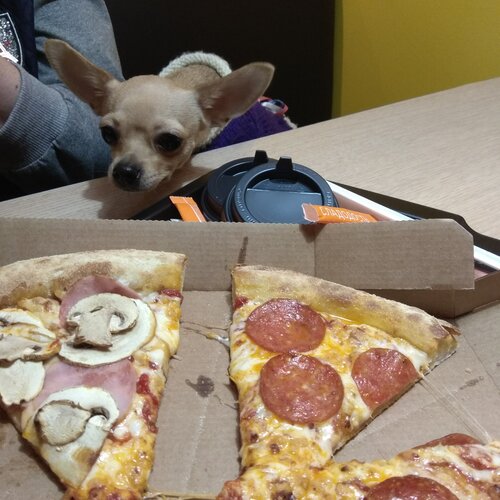 Pizzeria Dodo Pizza, Rybinsk, photo