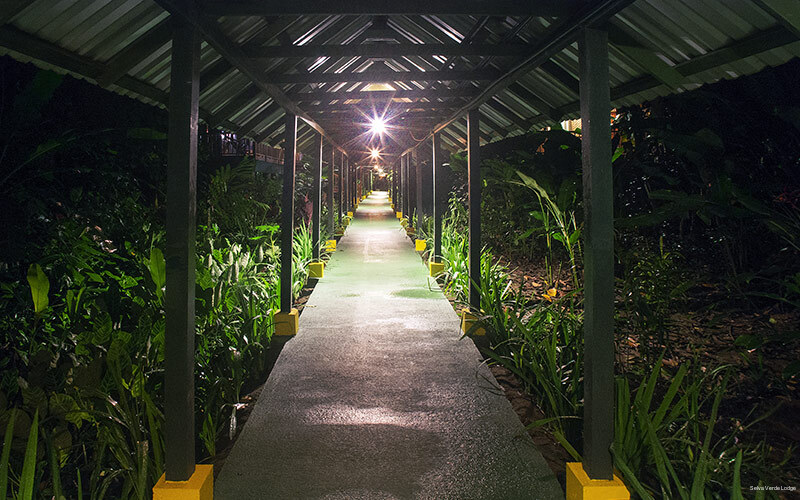 Фото Selva Verde Lodge