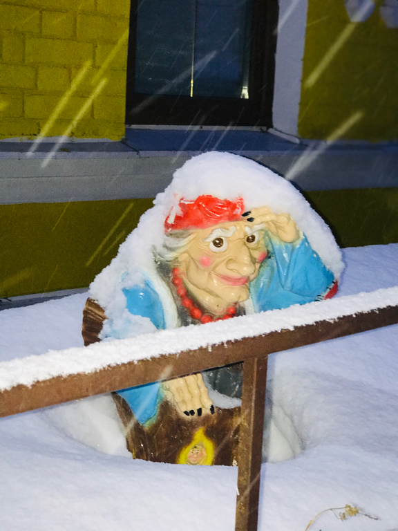 Фото Кот на крыше