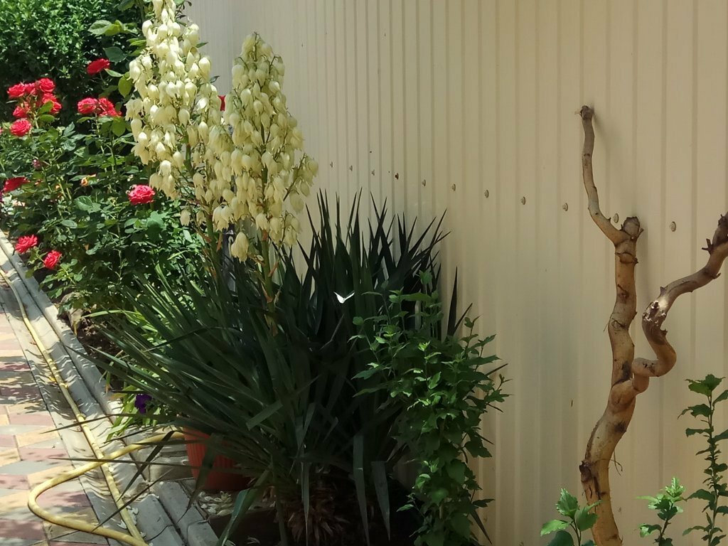 Фото Гостевой дом на Морской