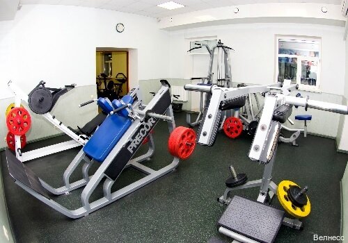 Гостиница Велнесс в Туле