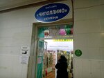 Magazin Chipollino (Orenburg, Leninskaya ulitsa, 52Б), seed shop