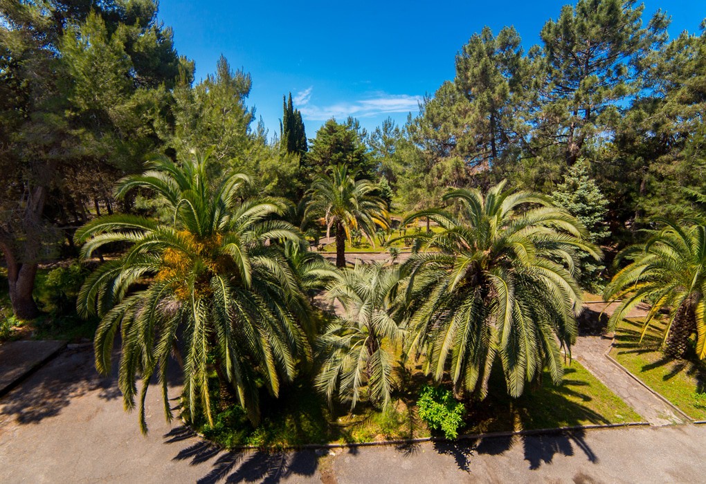 Фото Золотые пески