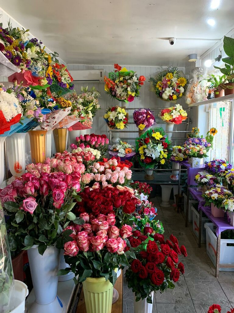 Доставка цветов по волгодонске необычные цветы букет