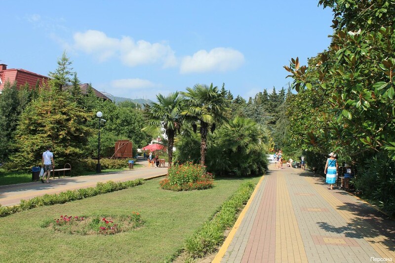 Фото Персона