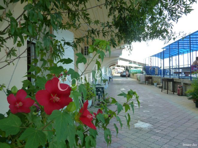 Фото Солнечный