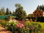 Domachnii (Yeldigino Village, Parkovaya Street, 10), nursing home