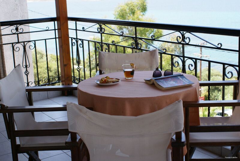 Фото Pansion Thanos