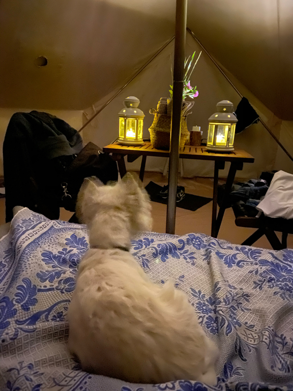 Фото Familyglamp Куликово поле