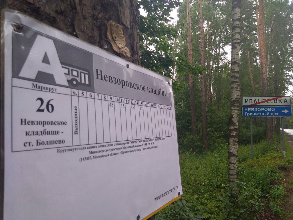 Схема невзоровского кладбища в ивантеевке