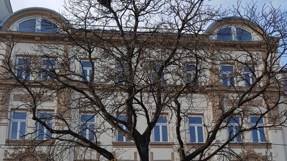 Фото 4 Beds and More Vienna Apartments