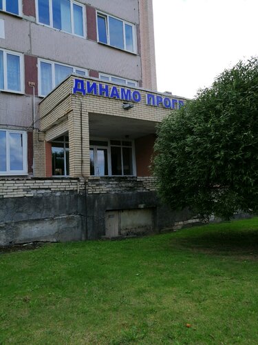 Лизы чайкиной форд