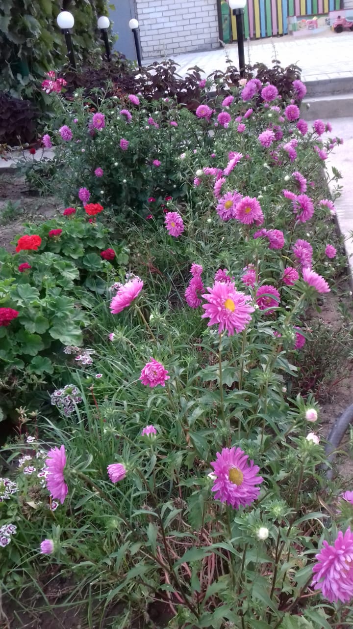 Фото В гостях у бабы Поли