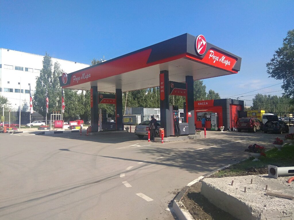 Роза мира клиническая ул 204а фото