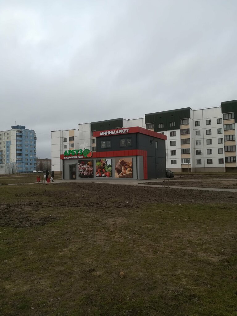 Автомагазин иномарка дружный