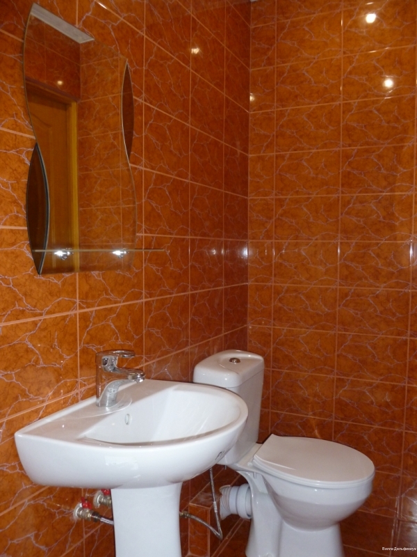 Фото Дельфиниум