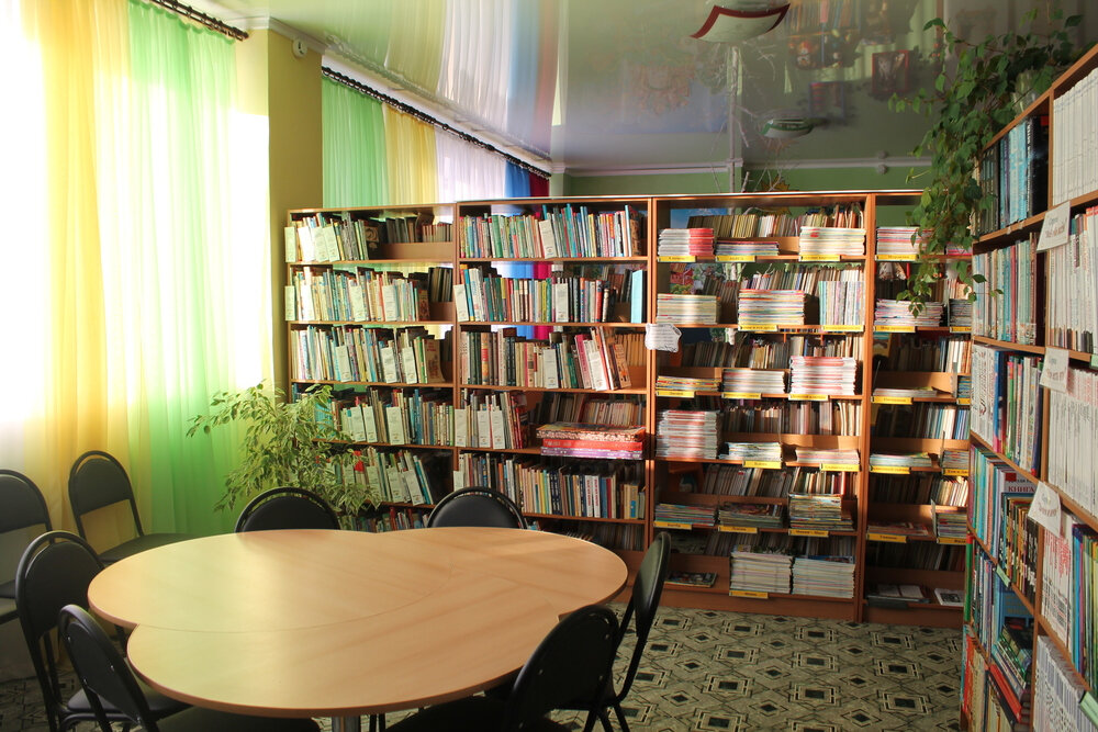 Библиотека МБУК Добринская ЦБС, Липецкая область, фото