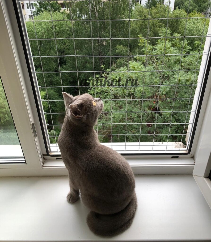 Забор антикот своими руками