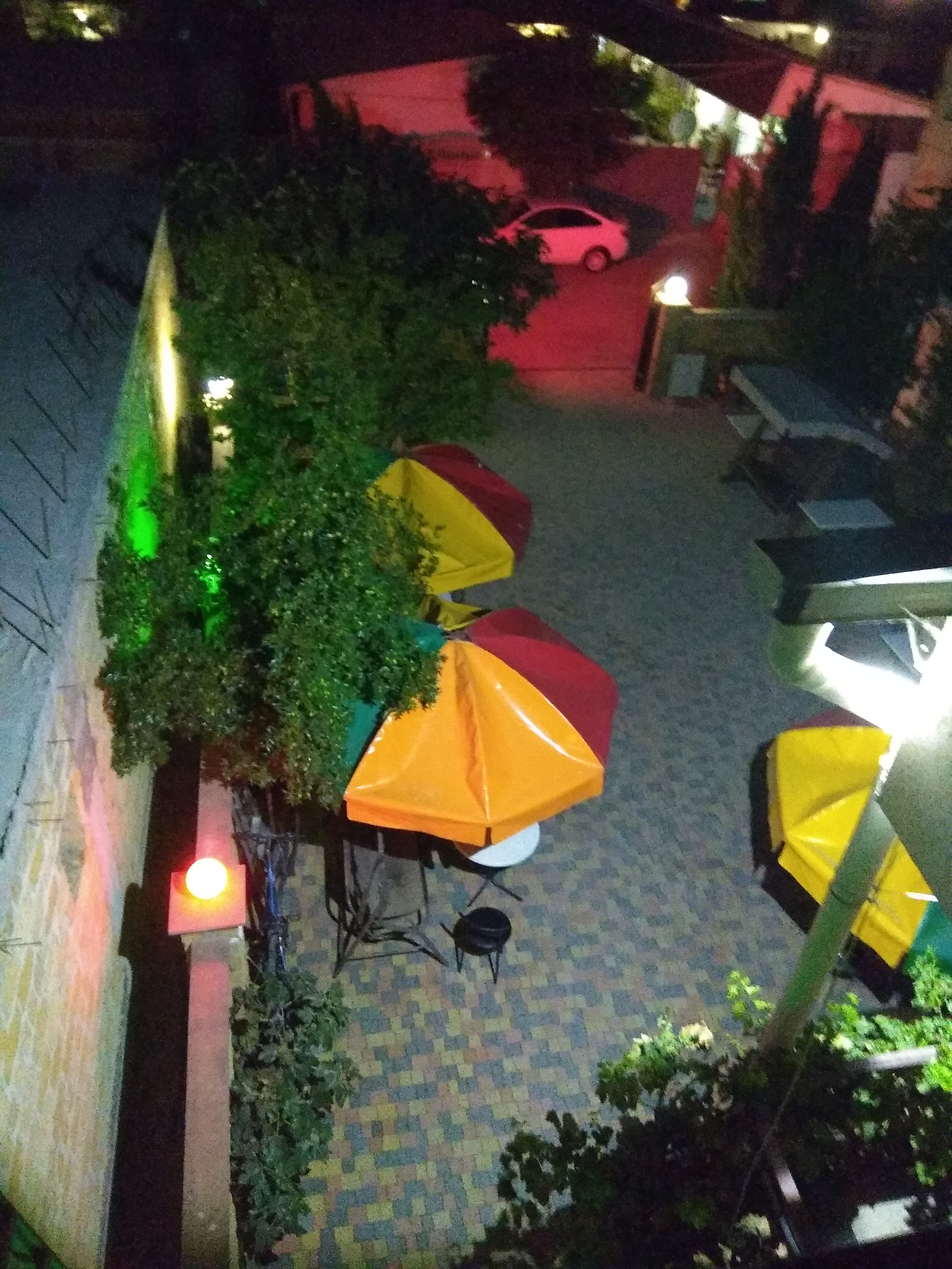 Фото Кипарис